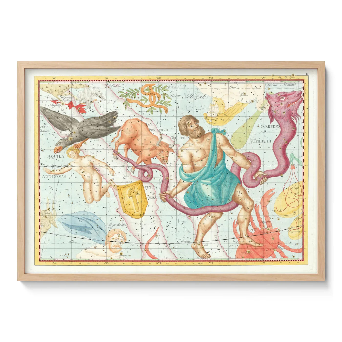Ophiuchus Constellation Wall Art