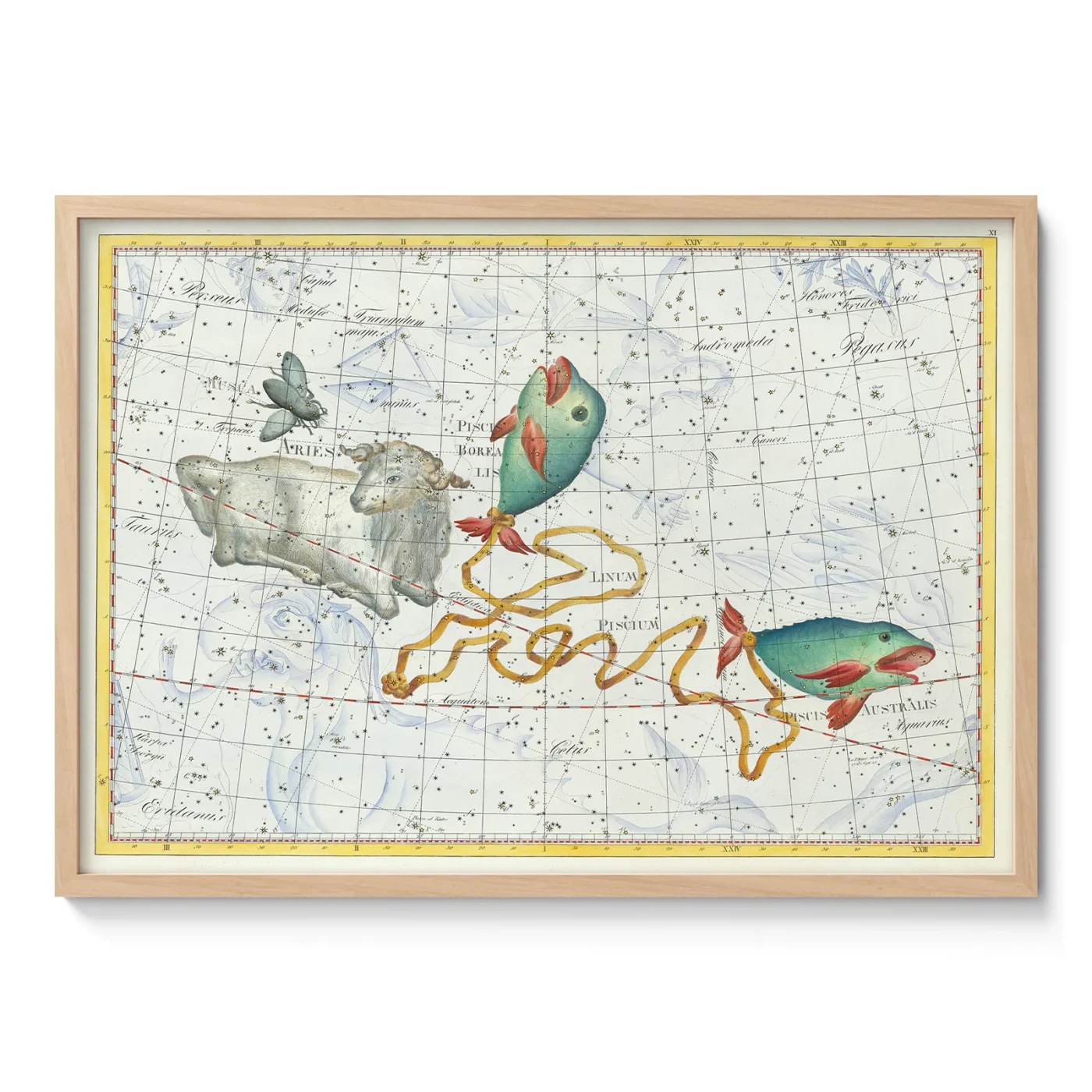 Pisces constellation vintage wall art poster