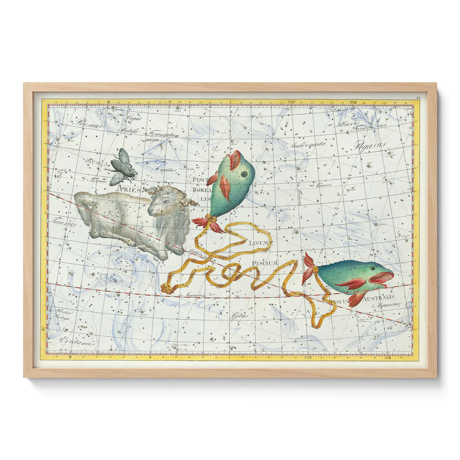 Pisces constellation vintage wall art poster
