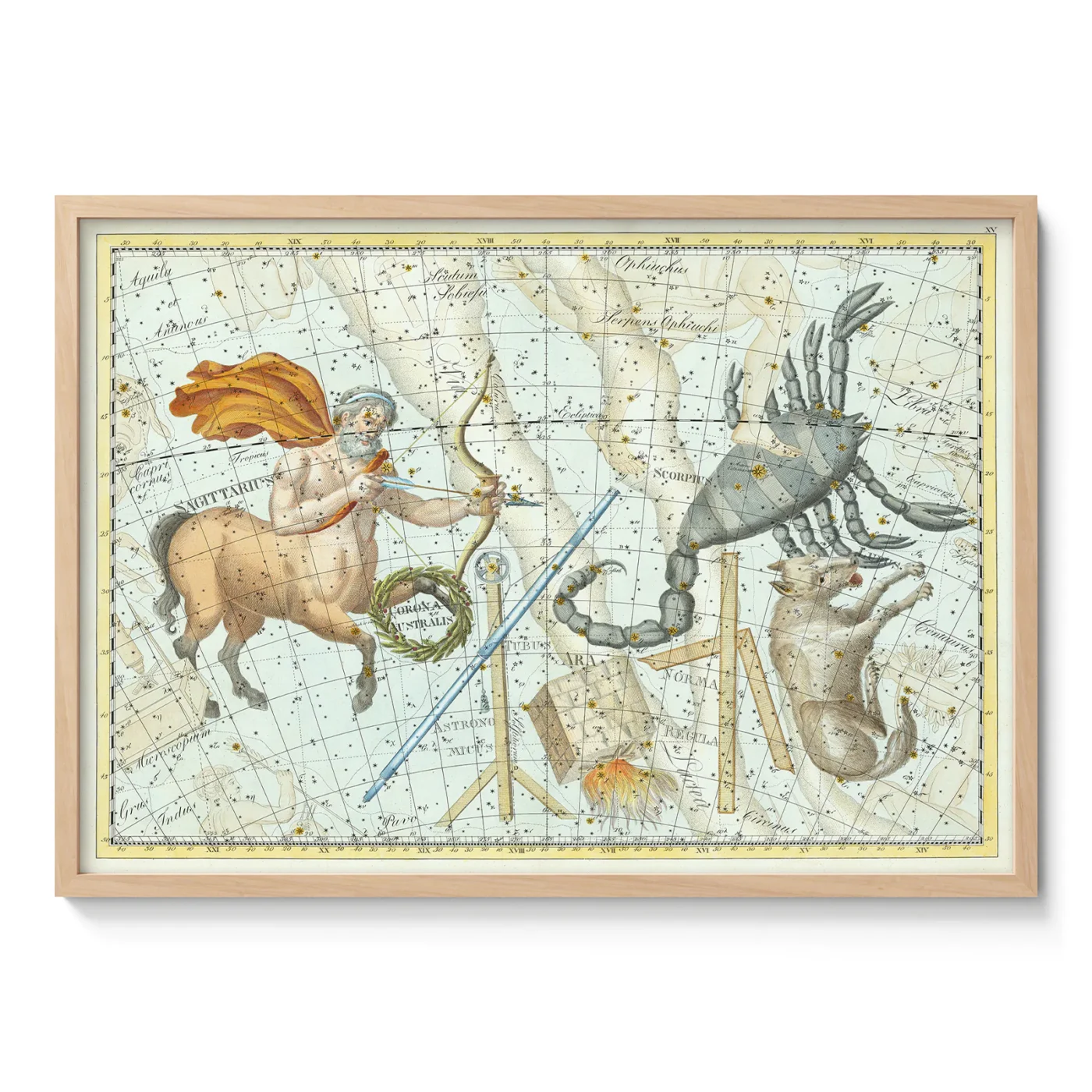 Sagittarius constellation vintage wall art poster