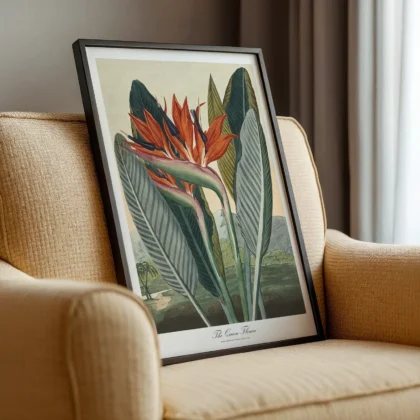 Bird of Paradise Botanical Wall Art by Philip Reinagle
