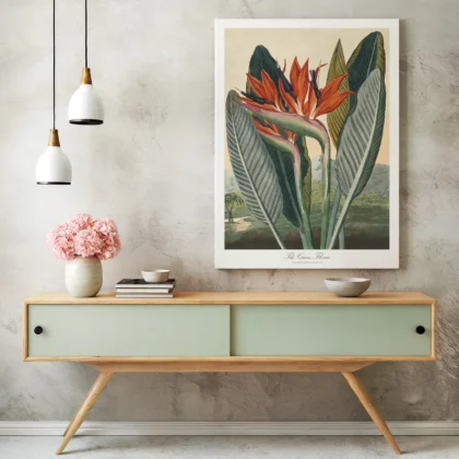 Bird of Paradise Botanical Wall Art by Philip Reinagle