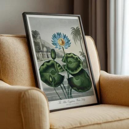 The Blue Egyptian Water Lily Print by Robert John Thornton