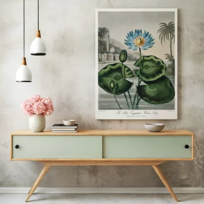The Blue Egyptian Water Lily Print by Robert John Thornton