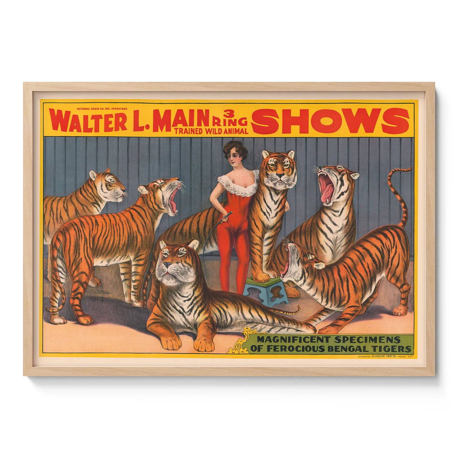 Circus Tigers Poster – Victorian Wild Animal Show