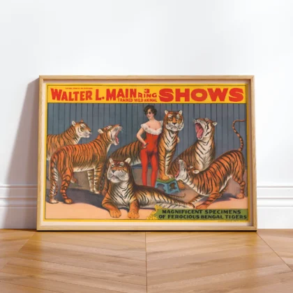 Circus Tigers Poster – Victorian Wild Animal Show