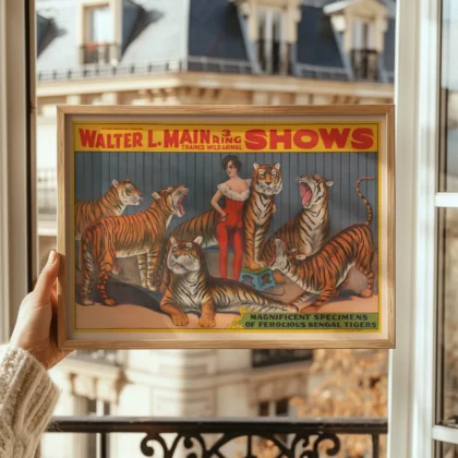 Circus Tigers Poster – Victorian Wild Animal Show