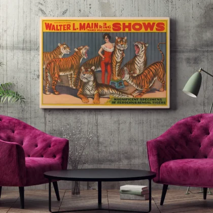 Circus Tigers Poster – Victorian Wild Animal Show