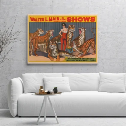 Circus Tigers Poster – Victorian Wild Animal Show