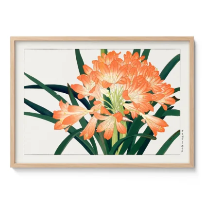 Japanese Floral Print by Tanigami Konan – Clivia Flowers