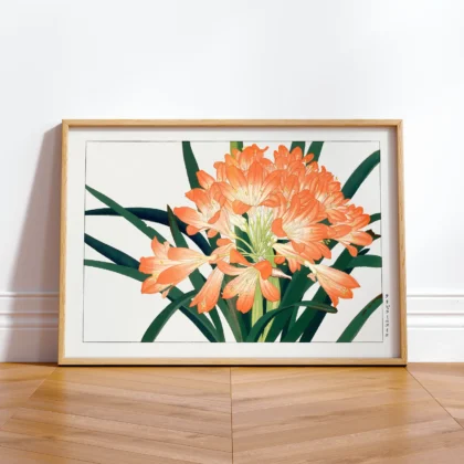 Japanese Floral Print by Tanigami Konan – Clivia Flowers