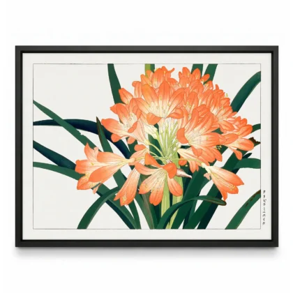 Japanese Floral Print by Tanigami Konan – Clivia Flowers