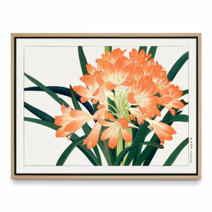 Japanese Floral Print by Tanigami Konan – Clivia Flowers
