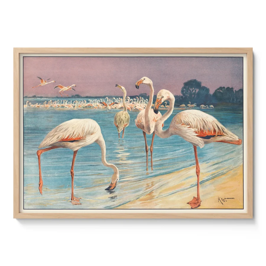 Flamingo Poster – Vintage Bird Art Print