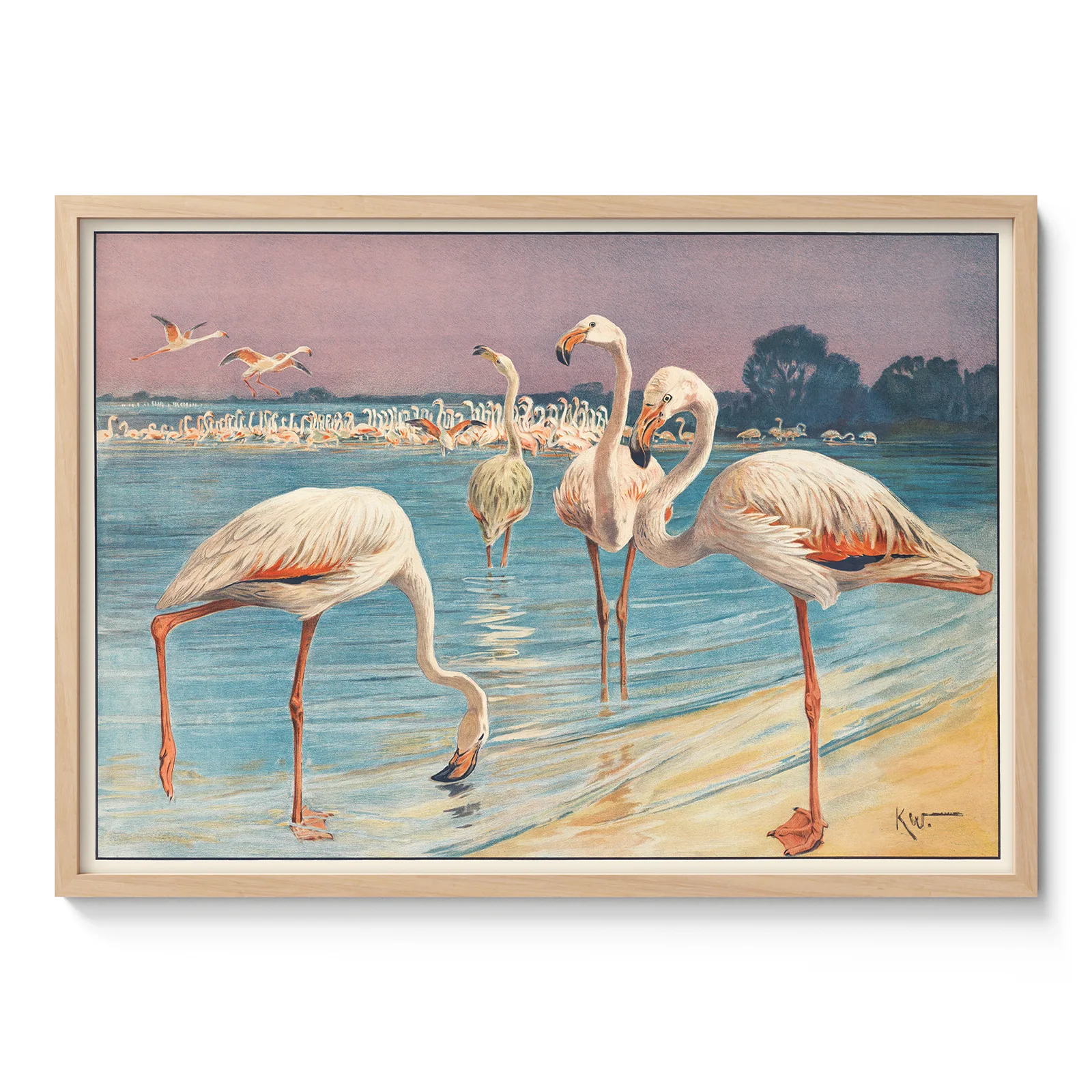 Flamingo Poster – Vintage Bird Art Print