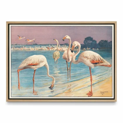 Flamingo Poster – Vintage Bird Art Print