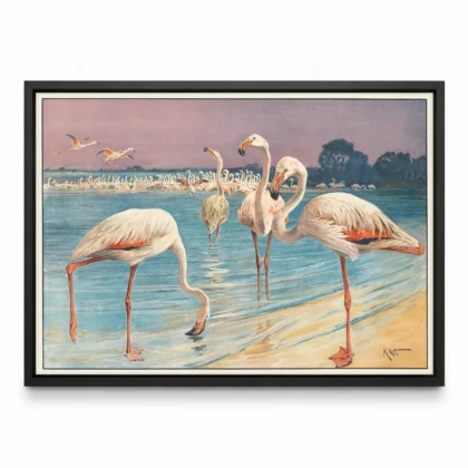 Flamingo Poster – Vintage Bird Art Print