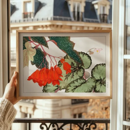 Japanese Begonia Botanical Print by Tanigami Konan