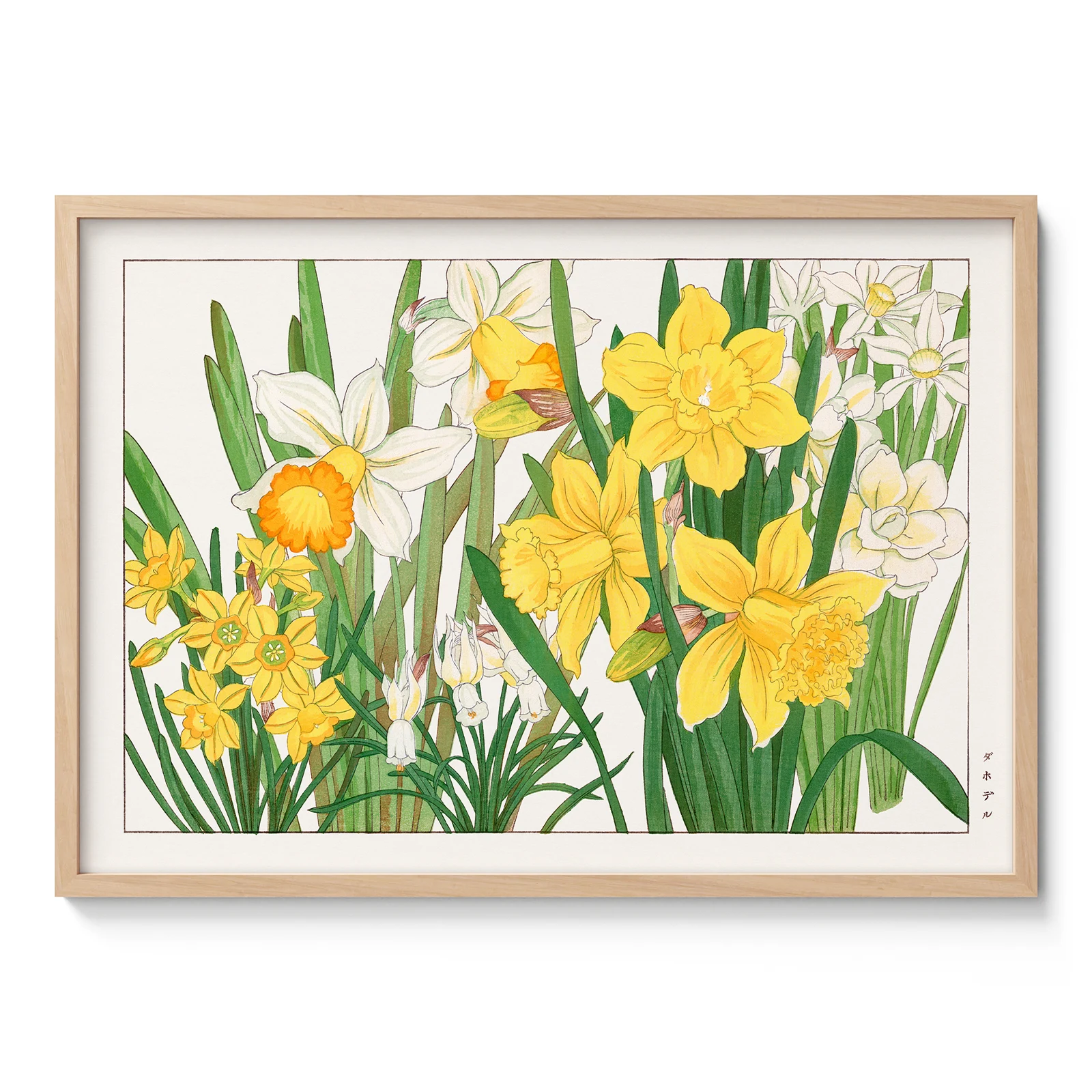 Japanese Daffodils Floral Print by Tanigami Konan