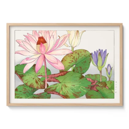 Japanese Lotus Flower Wall Art by Tanigami Konan