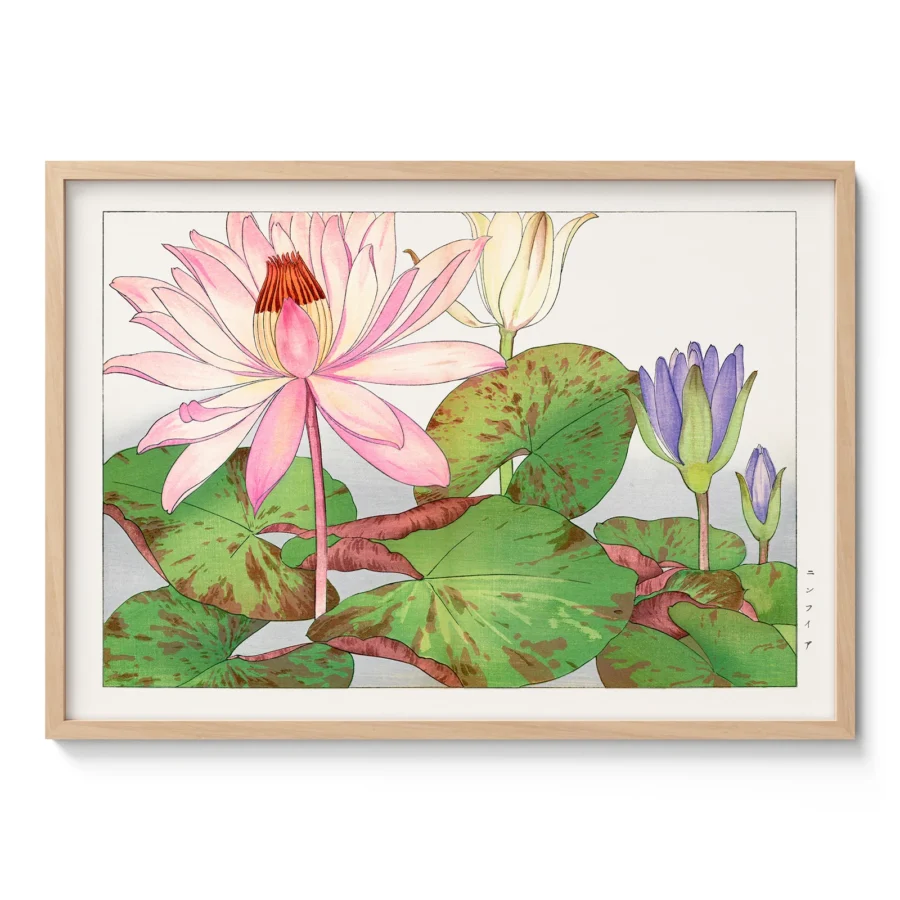Japanese Lotus Flower Wall Art by Tanigami Konan