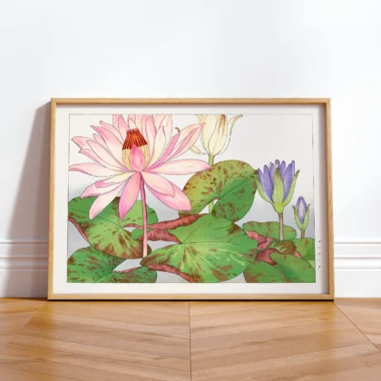 Japanese Lotus Flower Wall Art by Tanigami Konan