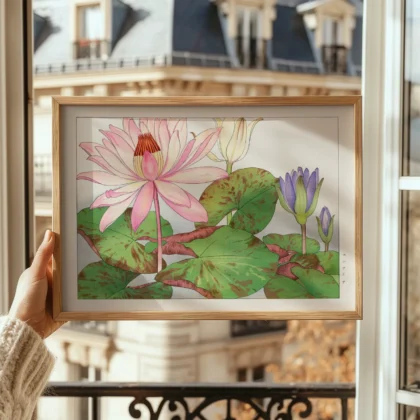 Japanese Lotus Flower Wall Art by Tanigami Konan
