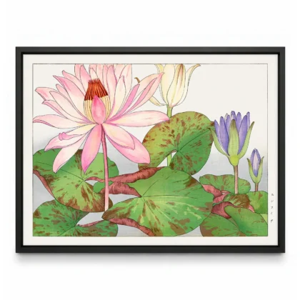 Japanese Lotus Flower Wall Art by Tanigami Konan