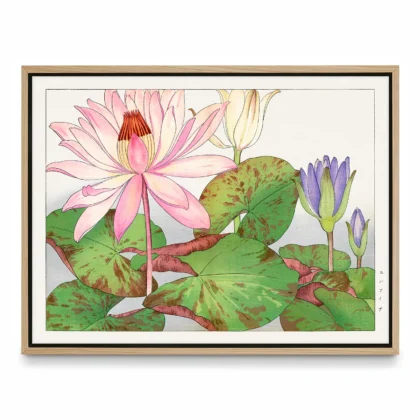 Japanese Lotus Flower Wall Art by Tanigami Konan