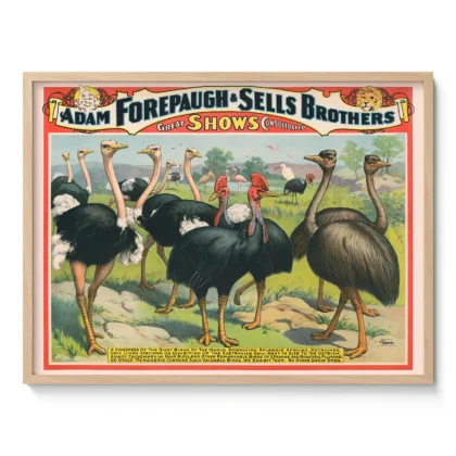 Ostrich Circus Wall Art – Adam Forepaugh & Sells Brothers