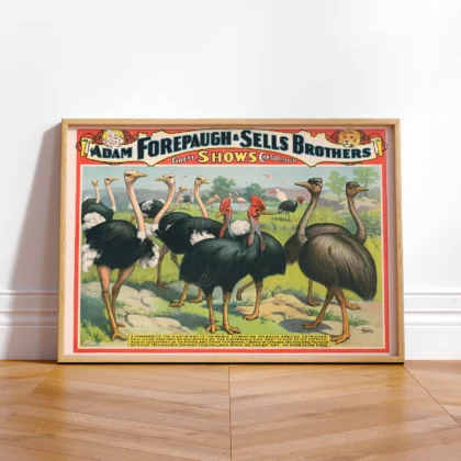 Ostrich Circus Wall Art – Adam Forepaugh & Sells Brothers
