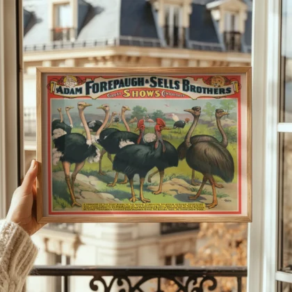 Ostrich Circus Wall Art – Adam Forepaugh & Sells Brothers