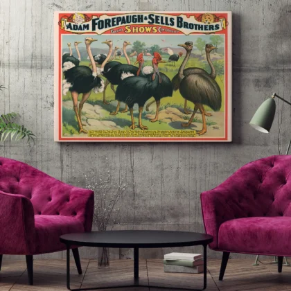 Ostrich Circus Wall Art – Adam Forepaugh & Sells Brothers
