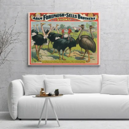 Ostrich Circus Wall Art – Adam Forepaugh & Sells Brothers