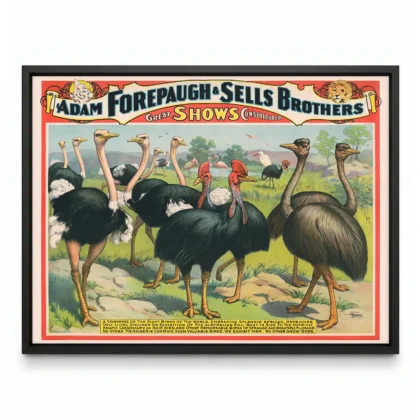 Ostrich Circus Wall Art – Adam Forepaugh & Sells Brothers