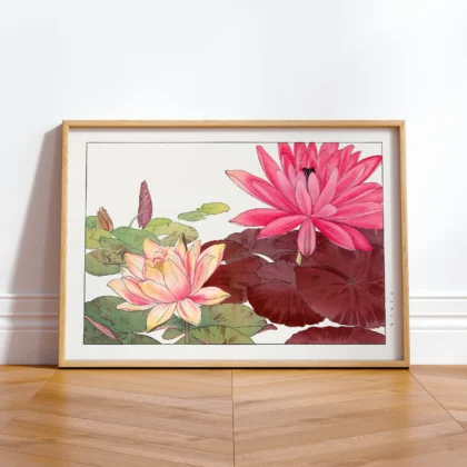 Pink Water Lilies – Japanese Botanical Print by Tanigami Konan