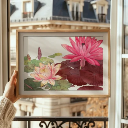 Pink Water Lilies – Japanese Botanical Print by Tanigami Konan