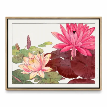 Pink Water Lilies – Japanese Botanical Print by Tanigami Konan