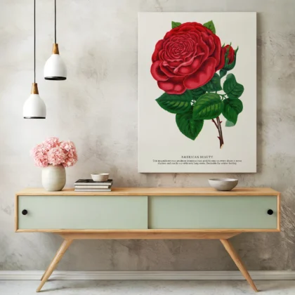 Vintage American Beauty Rose Botanical Print
