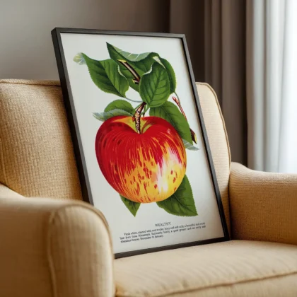 Vintage Apple Botanical Print – Wealthy Variety