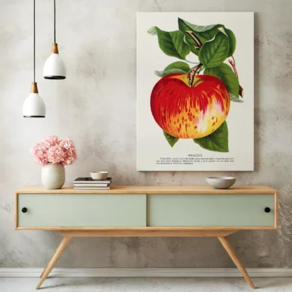 Vintage Apple Botanical Print – Wealthy Variety