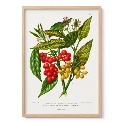 Vintage Red Berry Botanical Print by A. J. Wendel