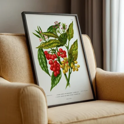 Vintage Red Berry Botanical Print by A. J. Wendel