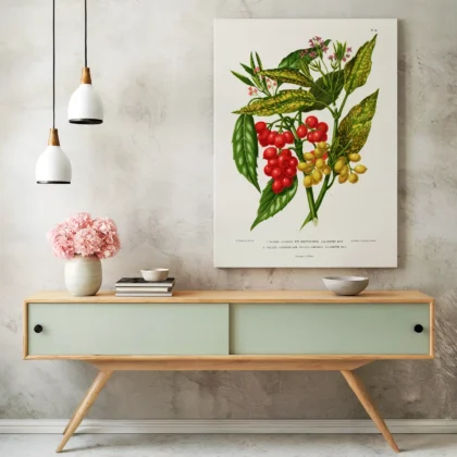 Vintage Red Berry Botanical Print by A. J. Wendel