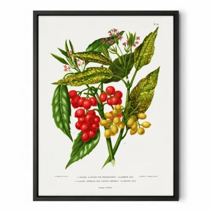 Vintage Red Berry Botanical Print by A. J. Wendel