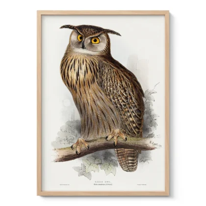 Vintage Eagle Owl Print by Edward Lear