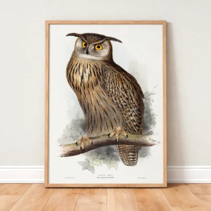 Vintage Eagle Owl Print by Edward Lear