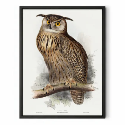 Vintage Eagle Owl Print by Edward Lear
