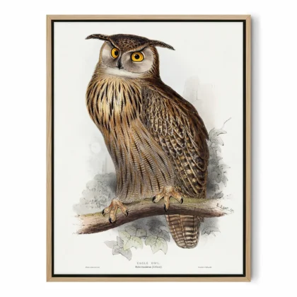 Vintage Eagle Owl Print by Edward Lear