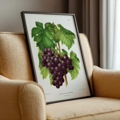 Vintage Grapes Print – Botanical Art by A. J. Wendel